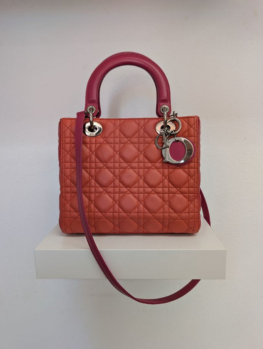 Christian Dior Multi Tone Lady Dior