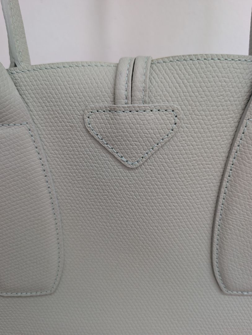 Longchamp Le Roseau Tote Bag