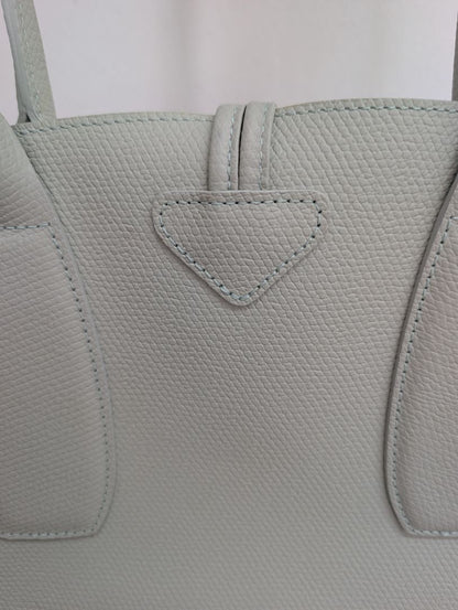 Longchamp Le Roseau Tote Bag